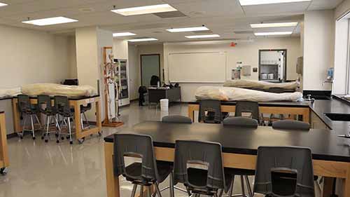 参观人体解剖学研究所