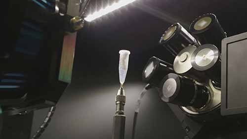 CT扫描与鸟类解剖