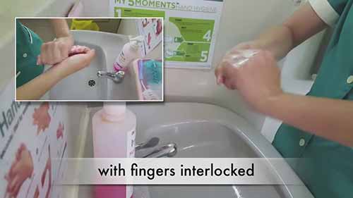 七步洗手法