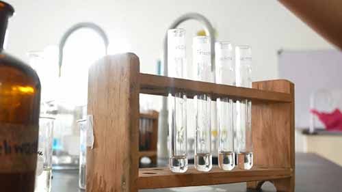 碳水化合物定性检测