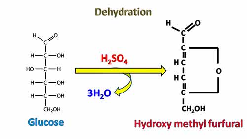 单糖的生物化学反应
