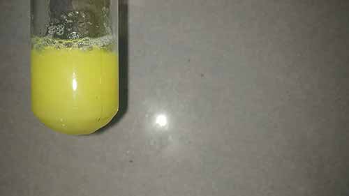 蛋白质的沉淀反应