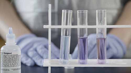 双缩脲颜色变化