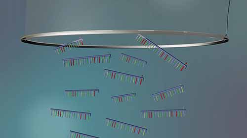 3D演示——DNA测序