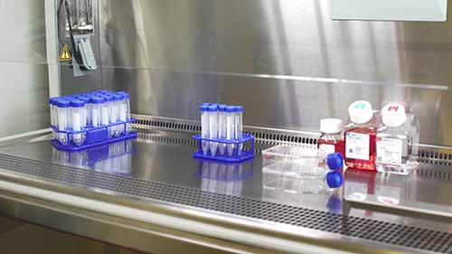 细胞培养基础——细胞培养概述