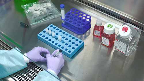 细胞培养基础——细胞冻存