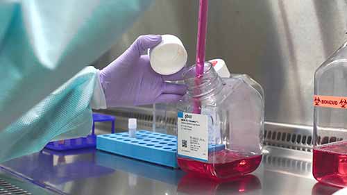 细胞培养基础——细胞解冻