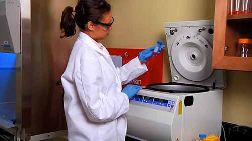 细胞系继代培养