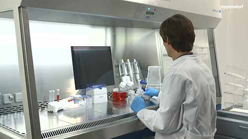 防止细胞培养污染