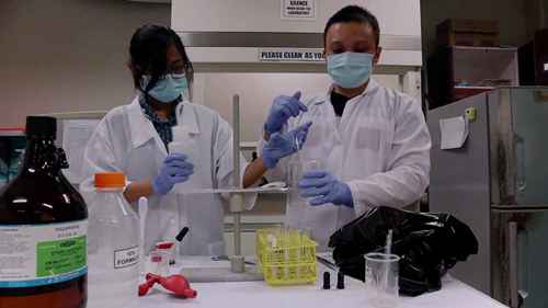 福尔马林乙酸乙酯浓缩法