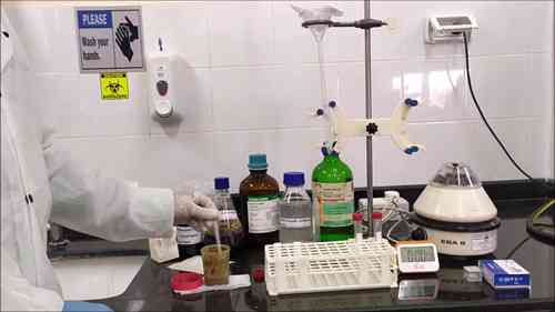 粪便检查 1 粪便沉淀浓缩