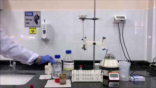 粪便检查 2 硫酸锌漂浮法