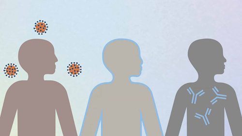 新冠病毒和抗体检测