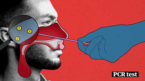 冠状病毒检测原理