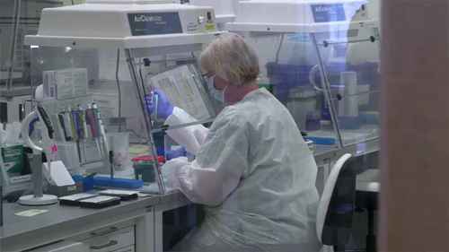 新冠病毒实验室检测