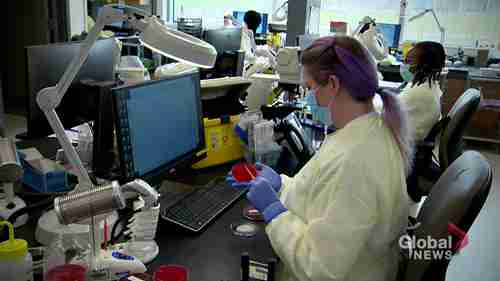 新冠病毒测试是如何进行的