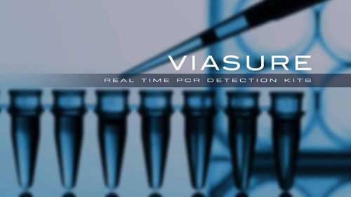 实时定量荧光聚合酶链反应试剂盒