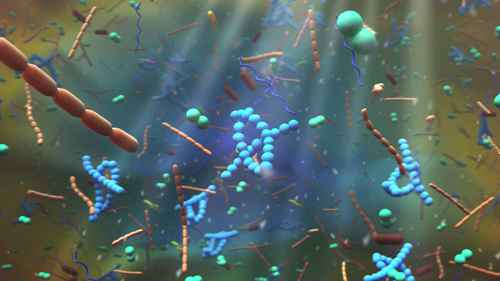 利用crispr检测疾病