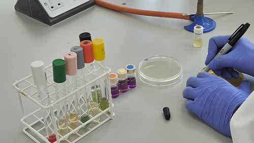 使用生化检验鉴定细菌1