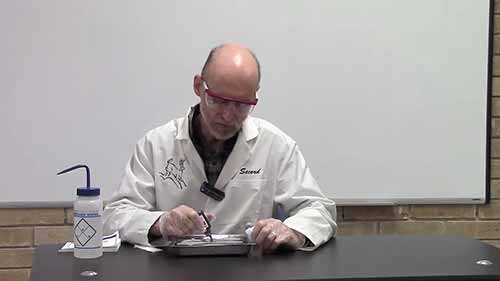 细菌简单染色法