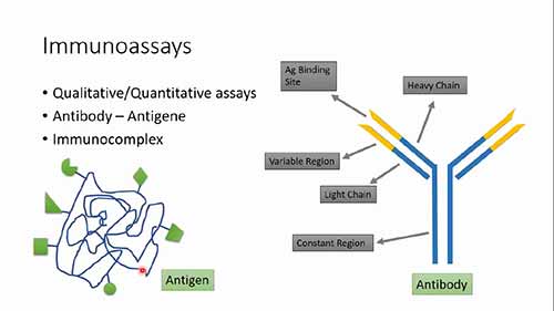ELISA免疫分析原理