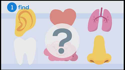 药物研发的基础