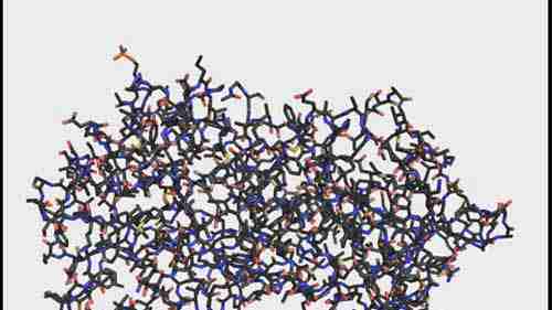 蛋白质折叠、变性和凝固