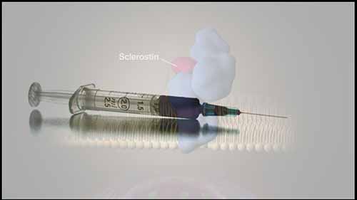 双作用骨质疏松药物