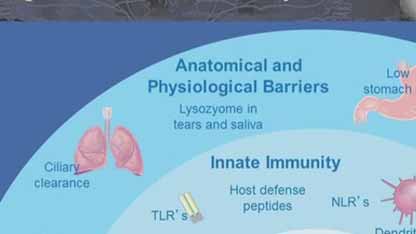 免疫球蛋白与健康