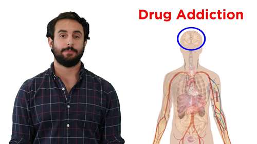 药物成瘾与大脑