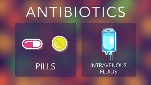 抗生素与微生物组