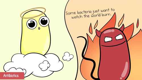 抗生素、抗病毒药物和疫苗