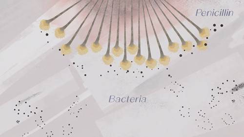 青霉素：改变世界的意外