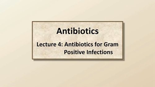 抗生素与革兰氏阳性菌感染