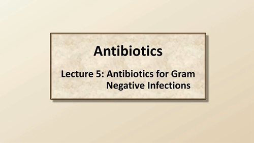 抗生素与革兰氏阴性菌感染