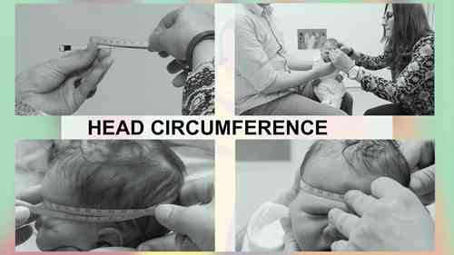 测量婴儿头围 2