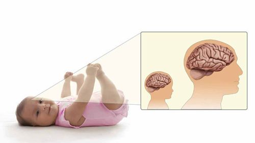 婴儿的大脑发育