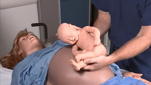 体外倒转术模拟演示