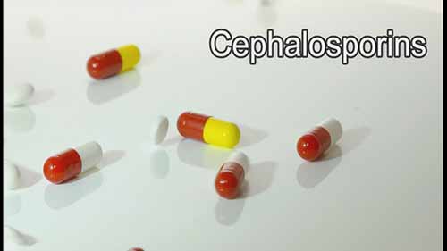 头孢菌素类药物