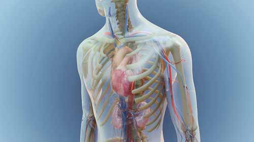 阿司匹林的作用