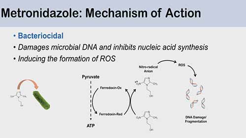 甲硝唑的作用机制