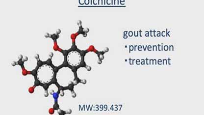 秋水仙碱的作用机制