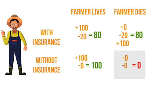 人寿保险：风险转移