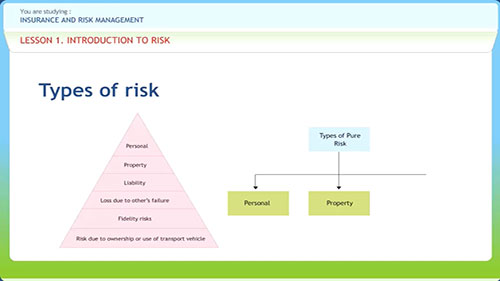 保险与风险管理 01
