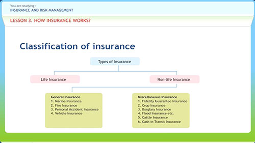 保险与风险管理 02