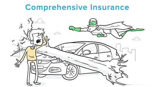 国外汽车保险的类型