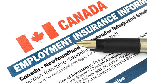 加拿大就业保险政策