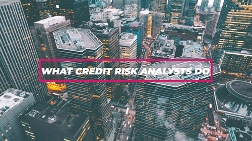 信用风险分析师