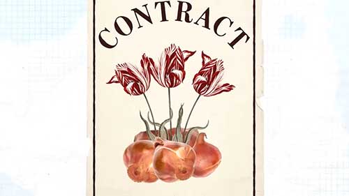 金融泡沫是如何形成的