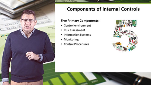 企业内部会计控制